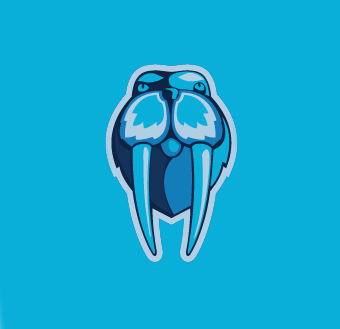 Логотип Walrus OÜ